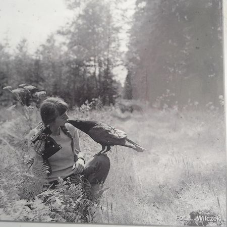 In Nature Białowieża エクステリア 写真