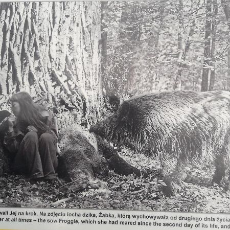 In Nature Białowieża エクステリア 写真