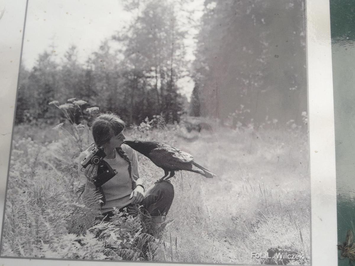 In Nature Białowieża エクステリア 写真