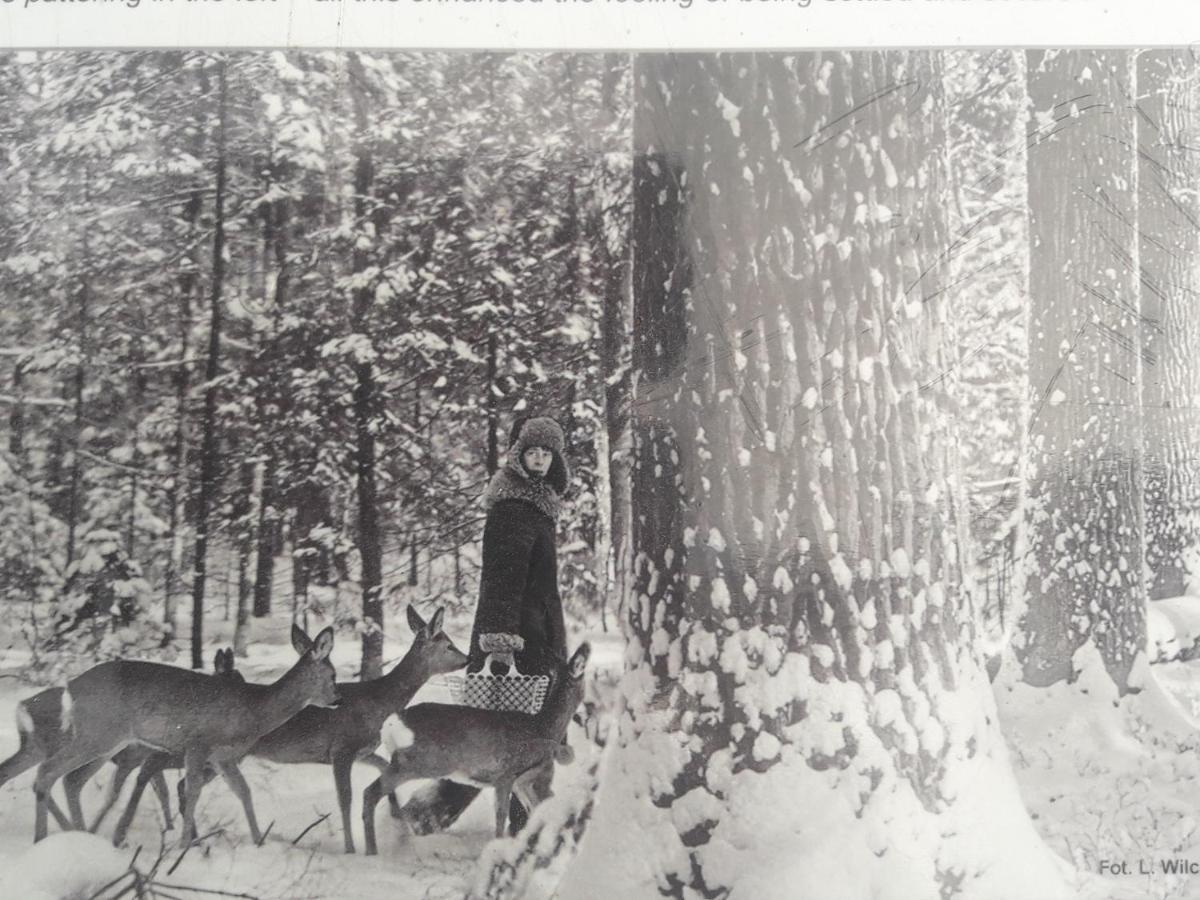 In Nature Białowieża エクステリア 写真