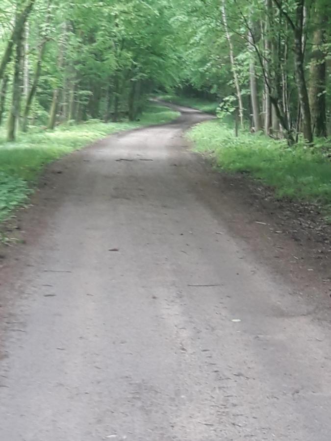 In Nature Białowieża エクステリア 写真