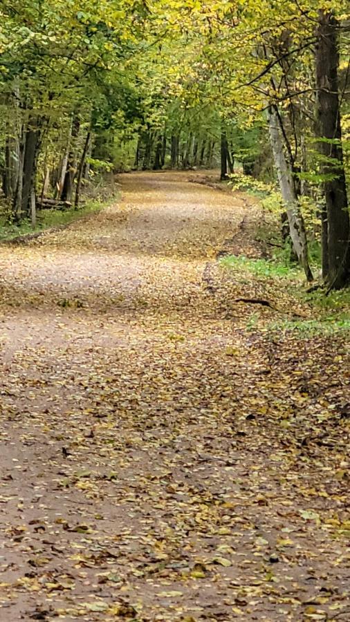 In Nature Białowieża エクステリア 写真