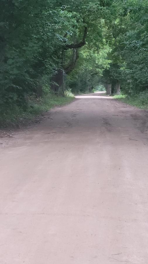 In Nature Białowieża エクステリア 写真