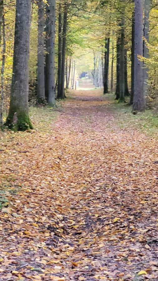 In Nature Białowieża エクステリア 写真